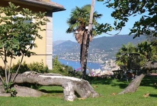 Villa Rosmarino Camogli Eksteriør billede