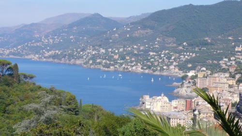 Villa Rosmarino Camogli Eksteriør billede